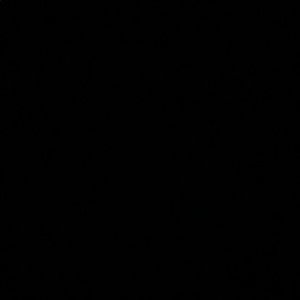 Meet your Posher, Chaya